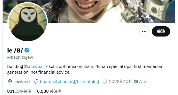 Thông tin về đội Snowball